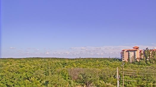 Weather camera view of WTSP-TV.