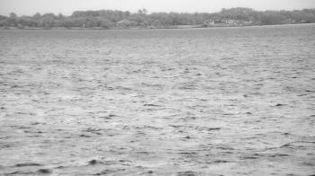 Weather camera view of Florida Yacht Club.