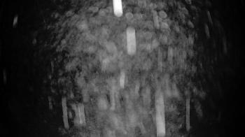 Weather camera view of Lagoon Park.