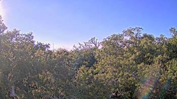 Weather camera view of Metairie Club Gardens.