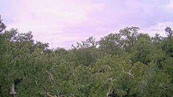 Weather camera view of Metairie Club Gardens.