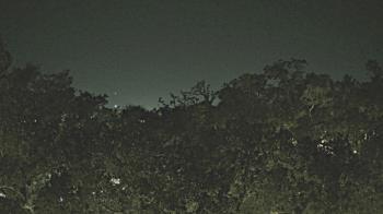 Weather camera view of Metairie Club Gardens.