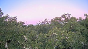 Weather camera view of Metairie Club Gardens.