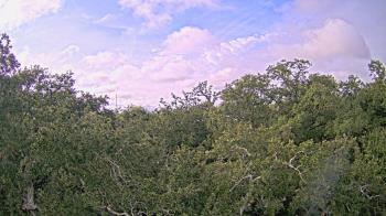 Weather camera view of Metairie Club Gardens.