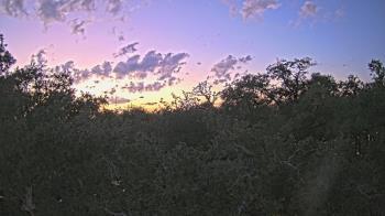 Weather camera view of Metairie Club Gardens.