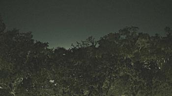 Weather camera view of Metairie Club Gardens.