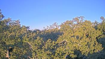 Weather camera view of Metairie Club Gardens.