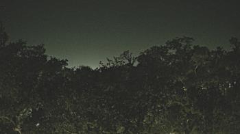 Weather camera view of Metairie Club Gardens.