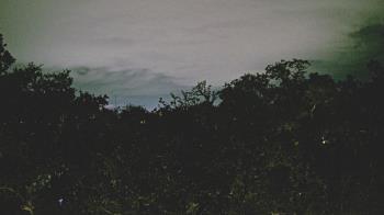 Weather camera view of Metairie Club Gardens.