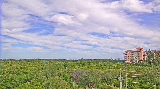 Weather camera view of WTSP-TV.