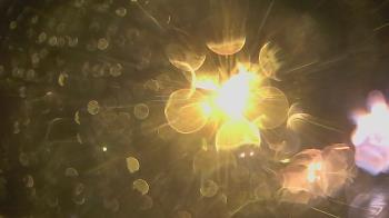 Weather camera view of Wishkah Valley School.