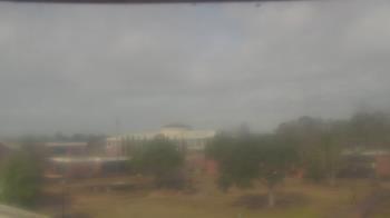 Weather camera view of Albany State University - West Campus.