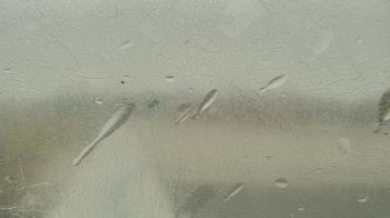 Weather camera view of Santa Fe HS.