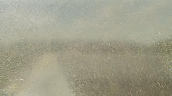 Weather camera view of Santa Fe HS.