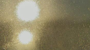 Weather camera view of Santa Fe HS.