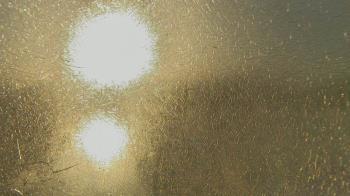 Weather camera view of Santa Fe HS.