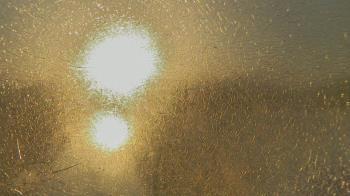 Weather camera view of Santa Fe HS.