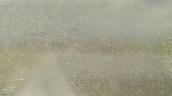 Weather camera view of Santa Fe HS.