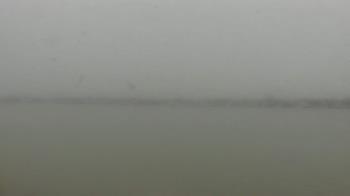 Weather camera view of SBPG Port Ship Service Arabi.