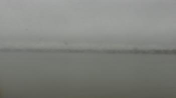 Weather camera view of SBPG Port Ship Service Arabi.