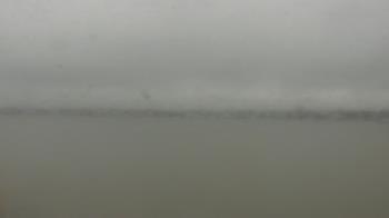 Weather camera view of SBPG Port Ship Service Arabi.