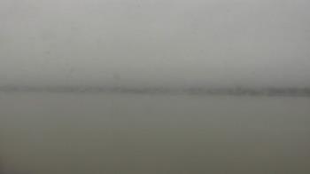 Weather camera view of SBPG Port Ship Service Arabi.