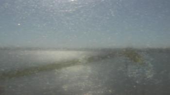 Weather camera view of SBPG Port Ship Service Arabi.