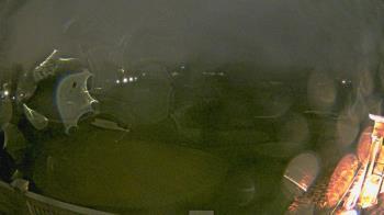 Weather camera view of Washington Golf and Country Club.