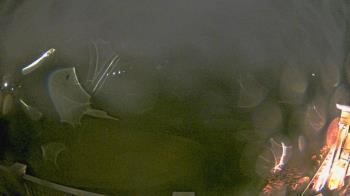 Weather camera view of Washington Golf and Country Club.