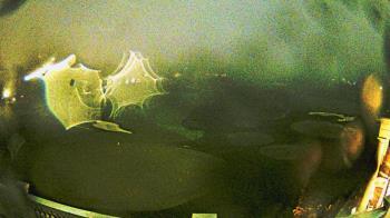 Weather camera view of Washington Golf and Country Club.