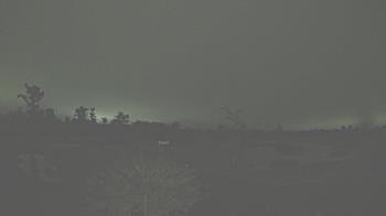 Weather camera view of TPC Louisiana.