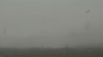 Weather camera view of City of Banks Public Library.