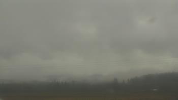 Weather camera view of City of Banks Public Library.