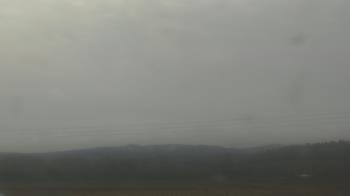 Weather camera view of City of Banks Public Library.