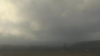 Weather camera view of City of Banks Public Library.