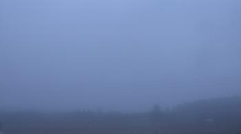 Weather camera view of City of Banks Public Library.