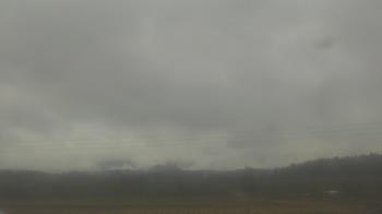 Weather camera view of City of Banks Public Library.