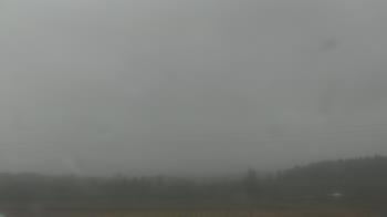 Weather camera view of City of Banks Public Library.