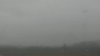 Weather camera view of City of Banks Public Library.