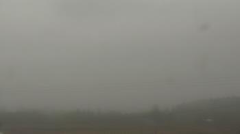 Weather camera view of City of Banks Public Library.