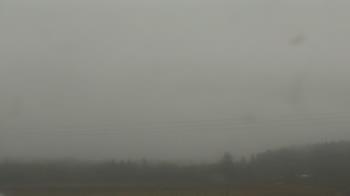 Weather camera view of City of Banks Public Library.