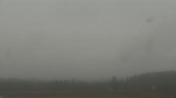 Weather camera view of City of Banks Public Library.