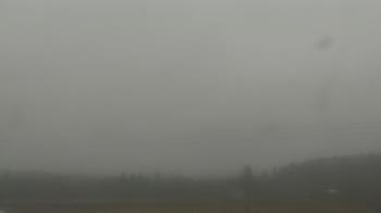 Weather camera view of City of Banks Public Library.