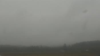 Weather camera view of City of Banks Public Library.