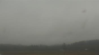 Weather camera view of City of Banks Public Library.