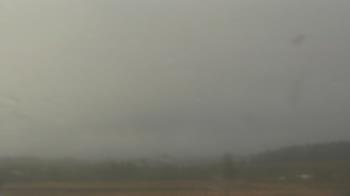 Weather camera view of City of Banks Public Library.