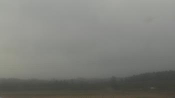 Weather camera view of City of Banks Public Library.