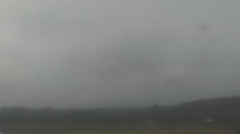 Weather camera view of City of Banks Public Library.