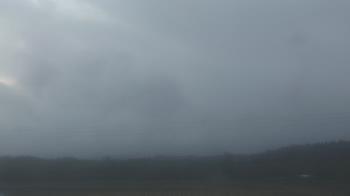 Weather camera view of City of Banks Public Library.