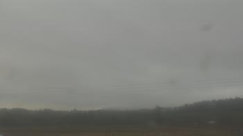 Weather camera view of City of Banks Public Library.